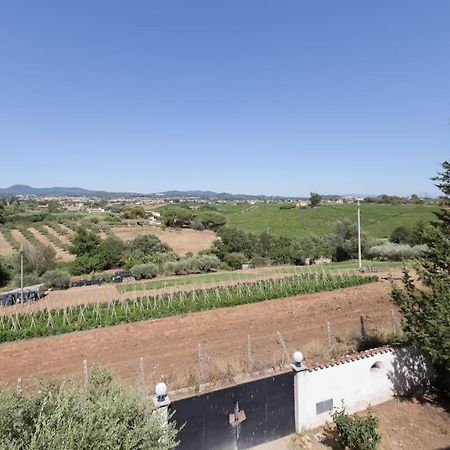 Appartamento A Casa Mia Albano Laziale Esterno foto