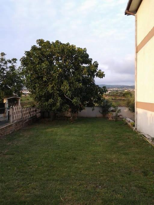 Appartamento A Casa Mia Albano Laziale Esterno foto