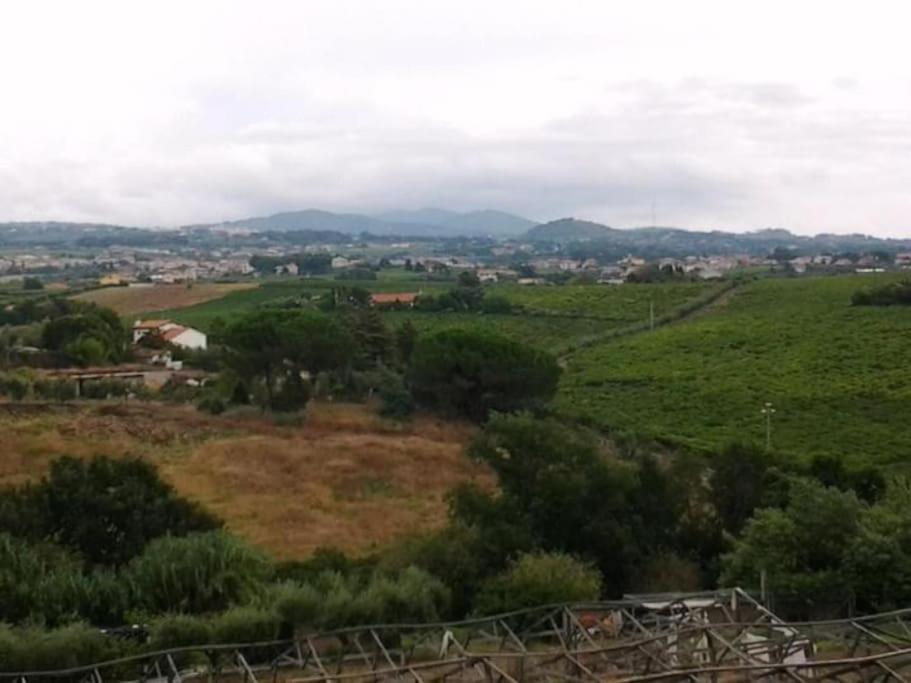 Appartamento A Casa Mia Albano Laziale Esterno foto