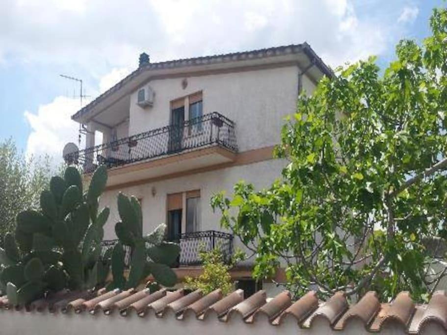 Appartamento A Casa Mia Albano Laziale Esterno foto