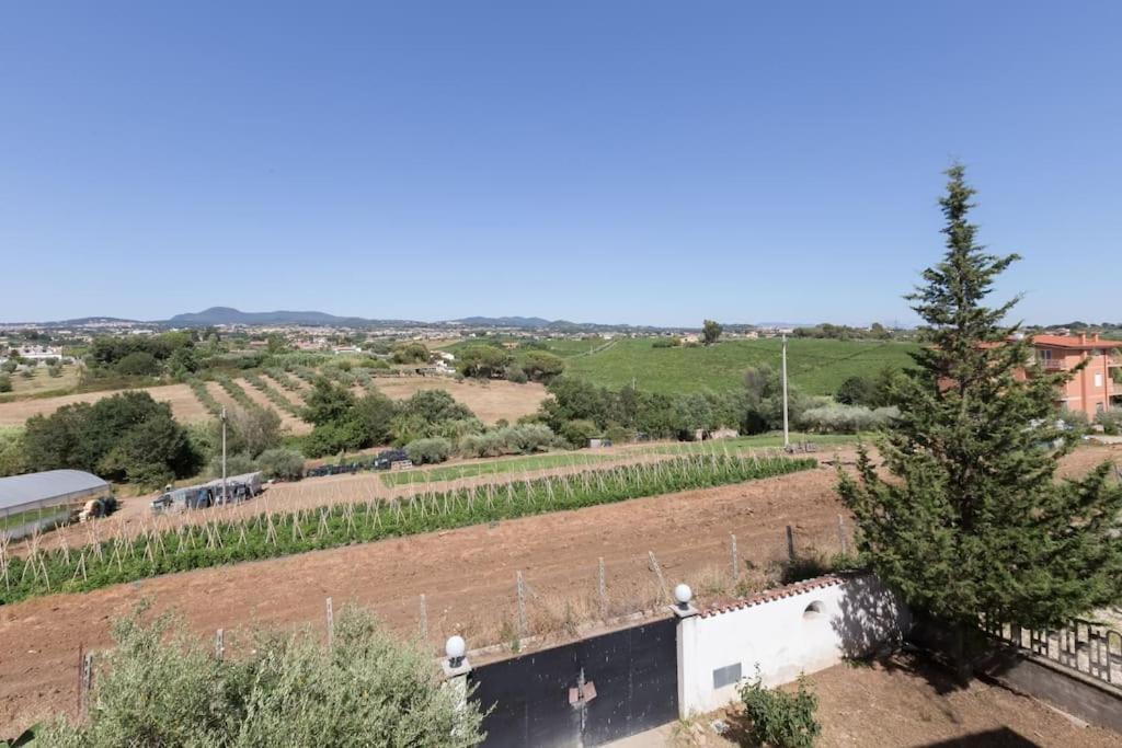 Appartamento A Casa Mia Albano Laziale Esterno foto