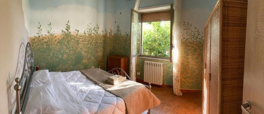 Appartamento A Casa Mia Albano Laziale Esterno foto