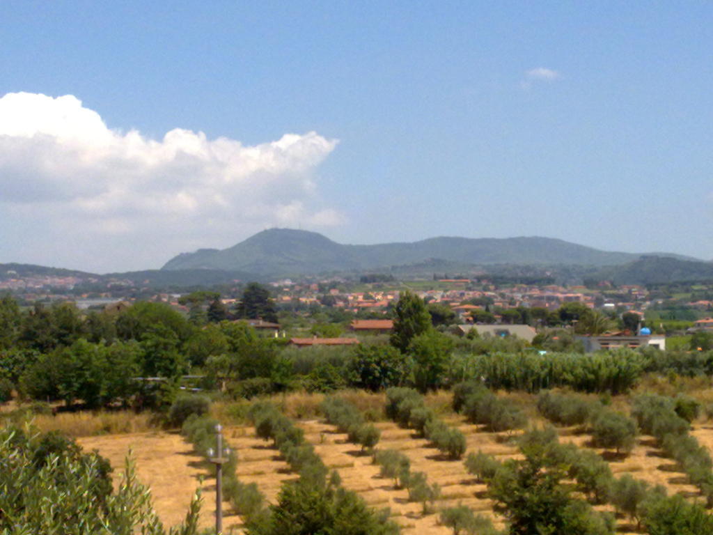 Appartamento A Casa Mia Albano Laziale Esterno foto