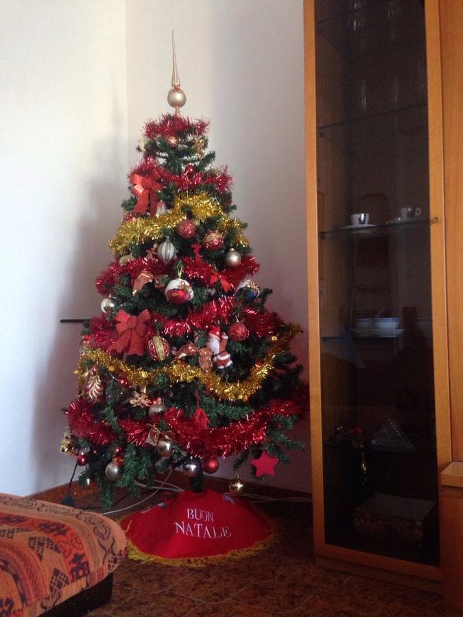 Appartamento A Casa Mia Albano Laziale Esterno foto